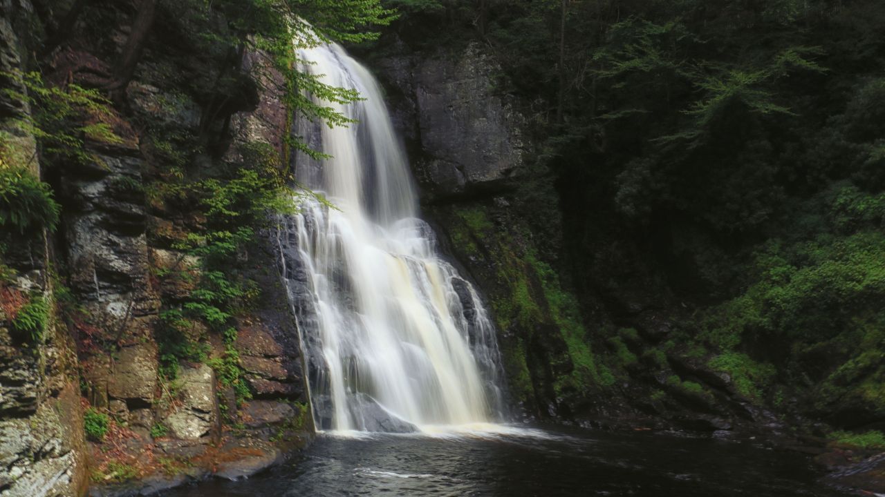 Bushkill Falls: Visitor Guide For First Timers