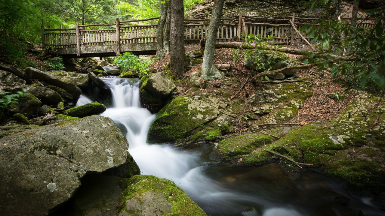 Bushkill Falls: Visitor Guide For First Timers
