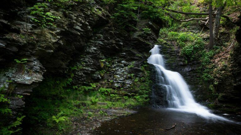 Bushkill Falls: Visitor Guide For First Timers