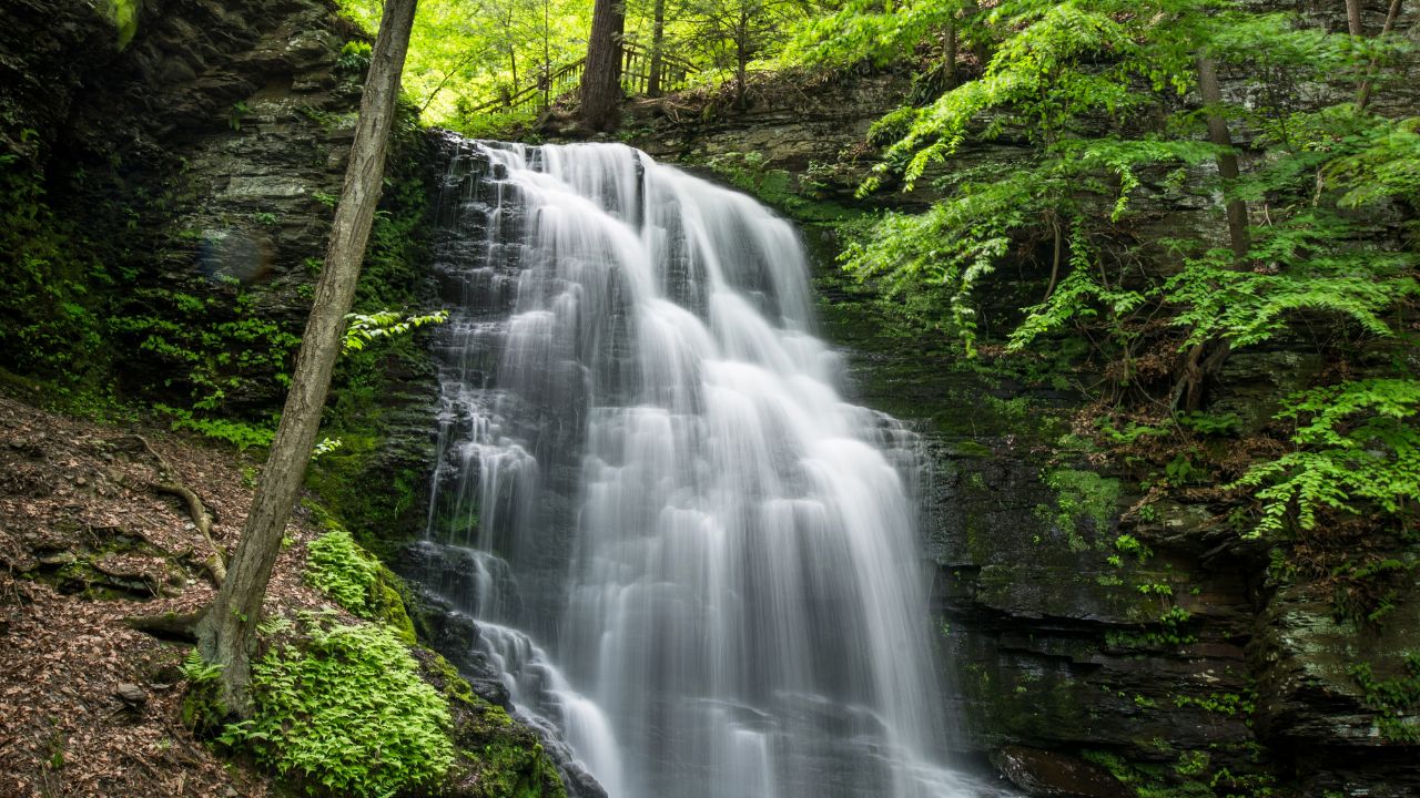 bushkill falls pa