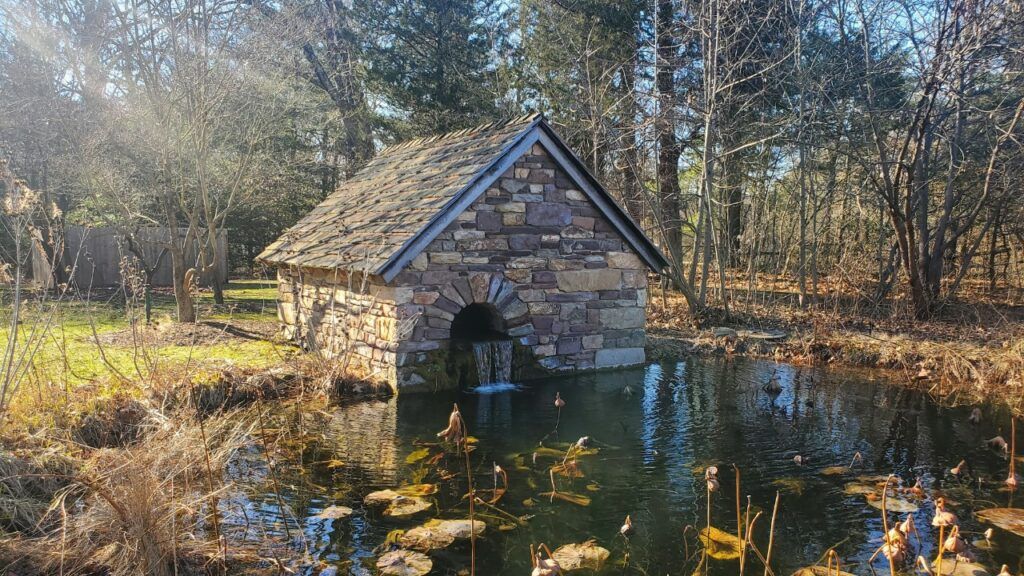 Bowman Hill Wildflower Preserve PA