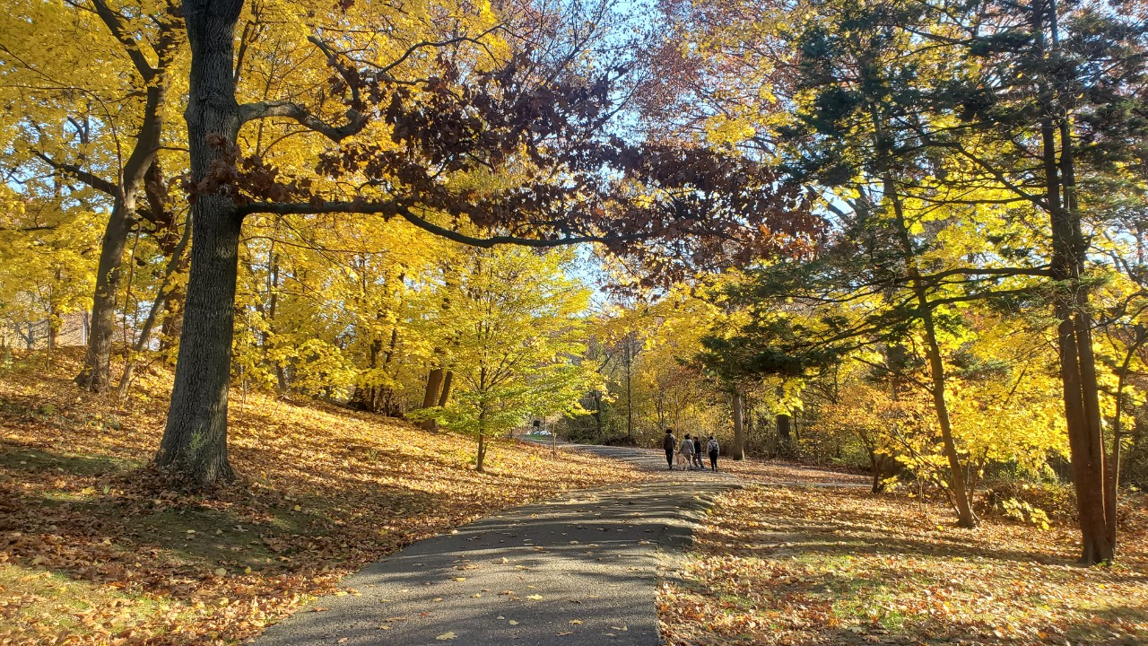 Clove Lakes Park Staten Island